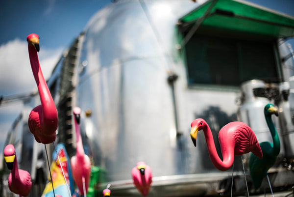 Flamingo Lawn Ornaments Lifestyle
