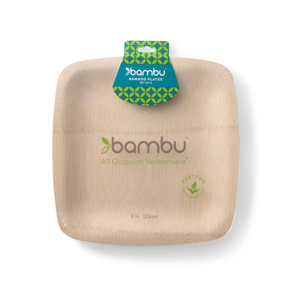 062900 Square VWare Plates 9-inch - bambu