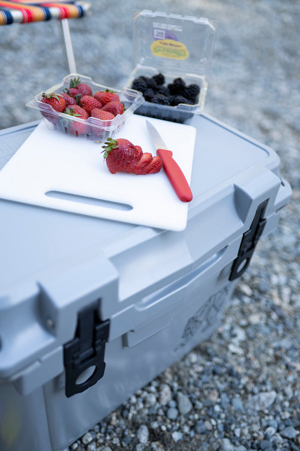 A gray cooler box outdoors on gravel, with a white cutting board, a red-handled knife, a container of strawberries, and a container of blackberries on top.