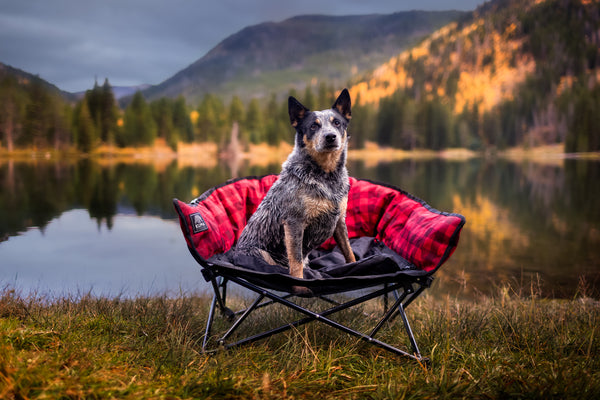 A blue heeler dog sits in a red and black camp chair placed on grass by a lake, with mountains and trees in the background.