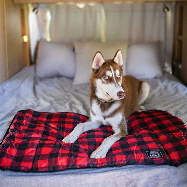 Lazy Bear Dog Blanket by KUMA Outdoor Gear