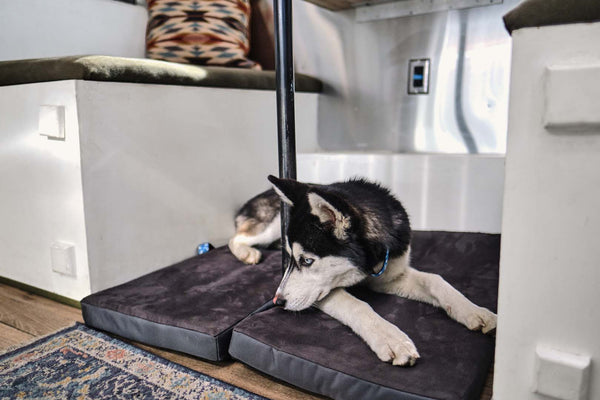 Airstream Under Dinette Pet Bed