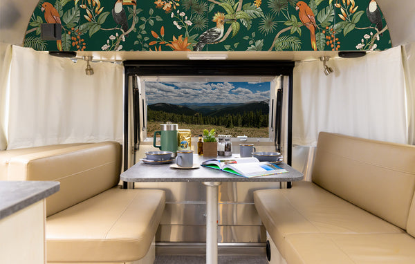 Birds of Paradise Peel + Stick Removable Wallpaper