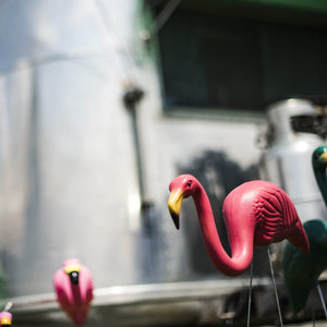 Original Pink Flamingos