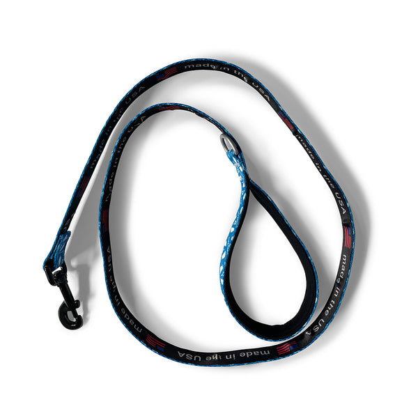 dog leash
