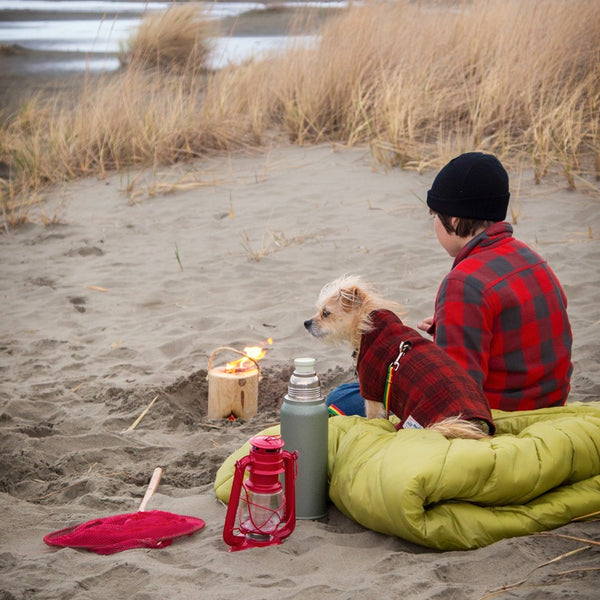 ONE LOG FIRE BOY DOG