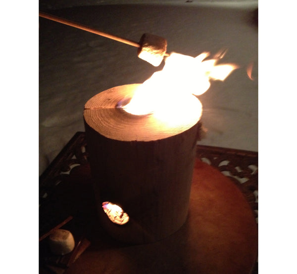 ONE LOG FIRE STICKS IN ACTION