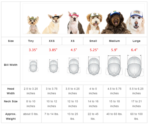 Airstream Vintage Tiger Dog Hat by PupLid