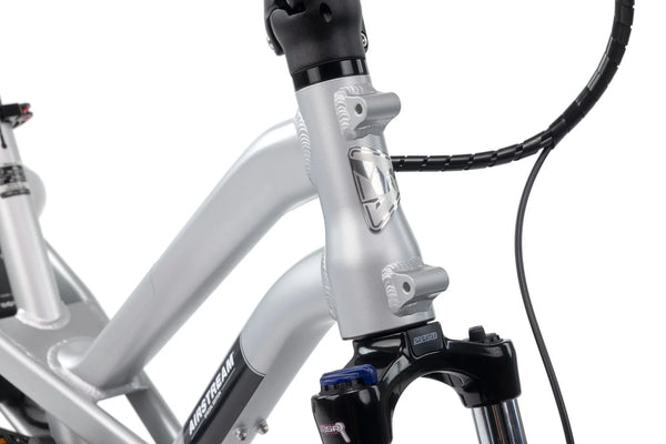 Airstream Electric HSD P5i by Tern Bikes