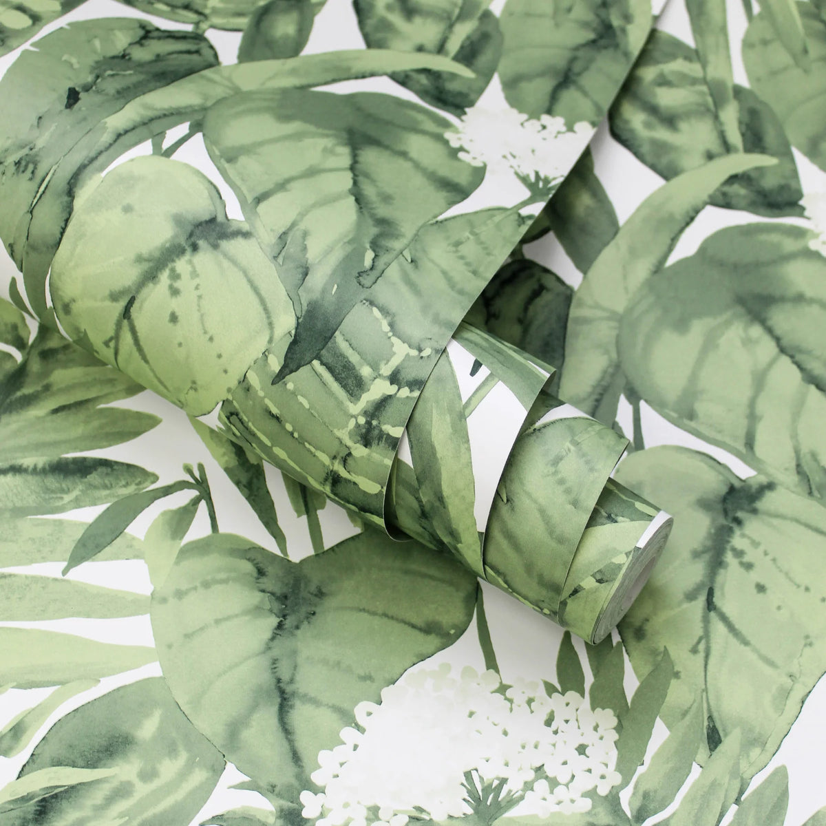 A close-up of the Tropical Peel + Stick Removable Wallpaper roll showcases its green and white leafy botanical pattern, with large leaves and clusters of small white flowers set against a crisp white background. This removable wallpaper is ideal for refreshing your space or adding vibrant flair to Airstream interior décor.