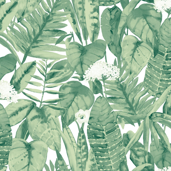TR529_Tropical_JungleGreen_Tempaper_swatch