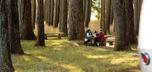 Picnic