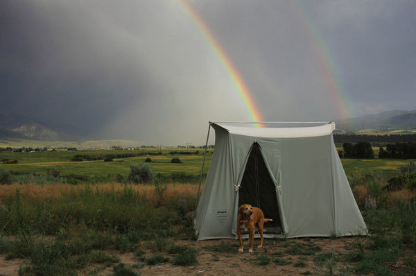 Tents + Shelters