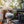 Bradley Electric Grill and Smoker