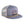 Gray cap with Yellowstone National Park design on a light gray background
