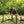 A man in a black t-shirt and shorts is assembling a black metal folding stand outdoors on a grassy lawn with trees in the background.