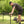 A man assembling a black metal camp table outdoors on a grassy lawn with trees in the background.