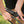 A close-up of a person's hands assembling a black metal folding frame, likely a camping chair or stand, outdoors on a grassy lawn.