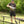 A man outdoors on grass holding a folded metal camping table frame, with a larger assembled black metal table structure in front of him and leafy green trees in the background.