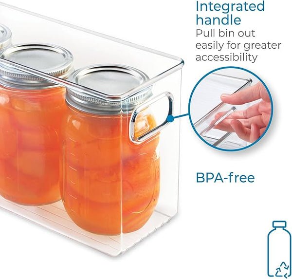 Fridge/Pantry Storage Bin, 10 x 4 x 6