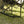 Close-up of a black metal rocking chair frame on a grassy lawn near a tree trunk in an outdoor setting.