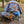 A woman sits in a camping chair in front of a gray and orange tent, holding an orange mug. A golden retriever rests in another camping chair beside her, and a metal bowl with an orange rim sits on the ground.