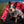 A blue heeler dog sitting inside a red and black buffalo plaid dog bed on a grassy field.