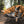 A dog wearing a tan harness rests on a matching tan and black camping chair in a forest setting.