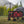 A red and black buffalo plaid folding camping wagon with a black frame and wheels, parked in a grassy field with mountains and a gray tent in the background.