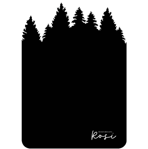 Airstream Original Adventure Board by Rivet Supply Co