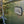 Airstream_Trade_Wind_28