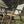 The Classic Oak Chair by Kermit Chair Company