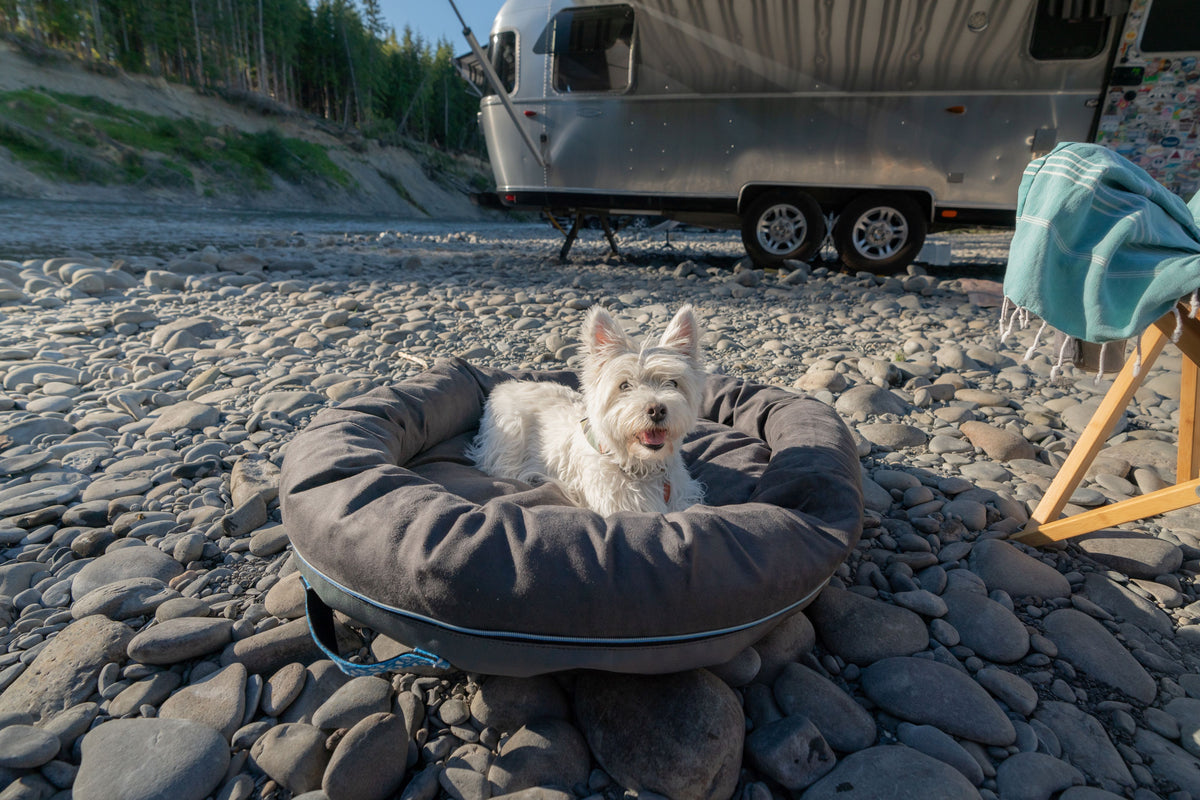 A small white dog sits in a gray Airstream Travel Pet Bed on rocky ground beside an Airstream trailer. Sunlight brightens the scene, and a green towel rests on a wooden chair nearby.
