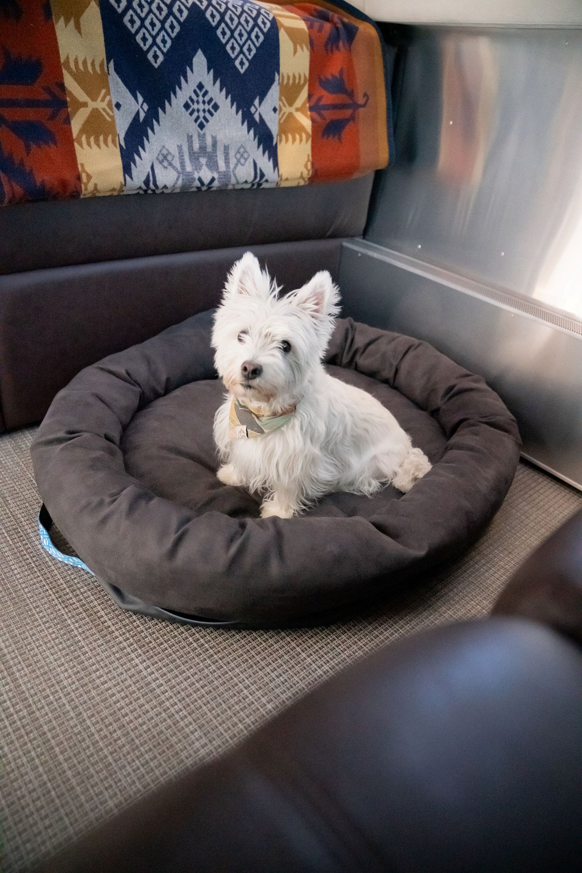 A small white dog sits on an Airstream Travel Pet Bed, a round gray portable bed, in a cozy room with patterned blankets and brown furniture.