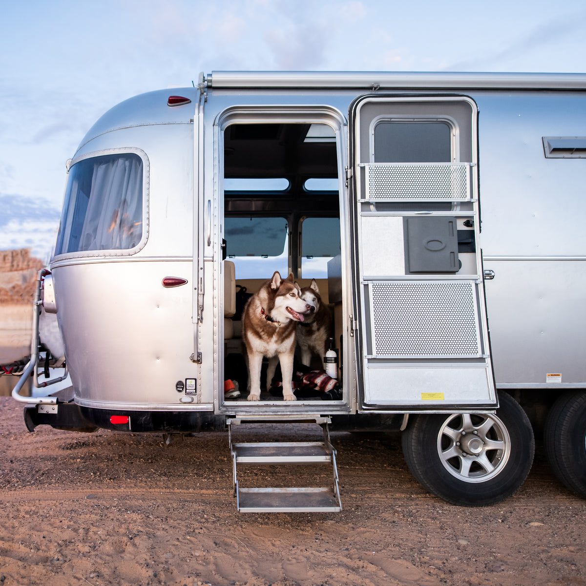 A husky stands in the doorway of a silver camper trailer parked on sandy ground, looking outside as the sun sets. The gentle light glimmers off an Airstream Screen Door Guard (Part #115171-01, 115171-02), one of several genuine Airstream parts that protect the entrance and add a touch of durability to this classic home on wheels.