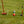 Elakai Croquet Set Outside In Grass