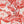Flamingo Peel + Stick Removable Wallpaper