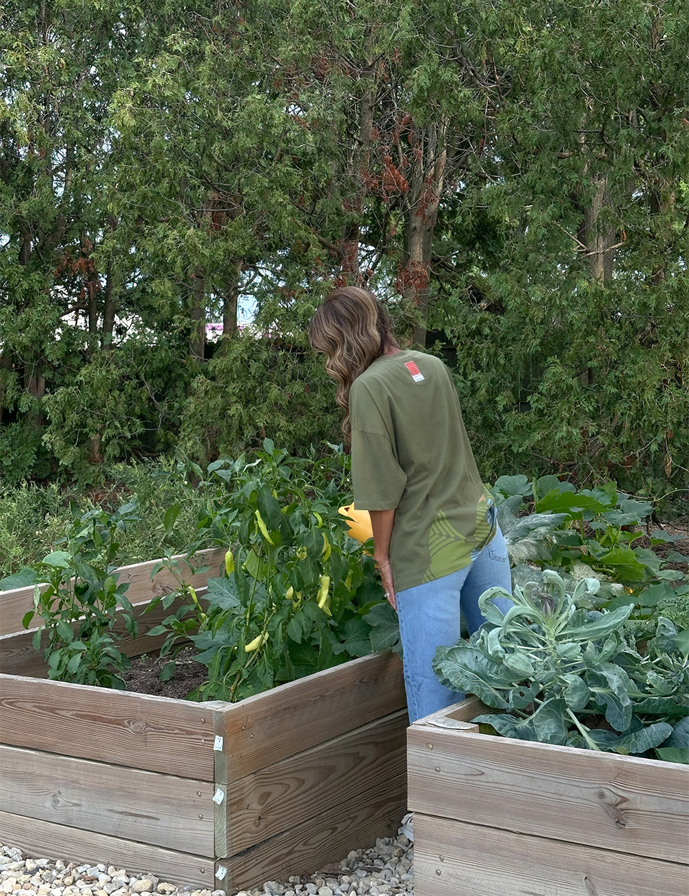 Wearing the Frank Lloyd Wright x Airstream Oversized T-Shirt, a person with long hair waters plants in a raised wooden garden bed, surrounded by green vegetables and trees.
