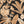 Flamingo Salinas Peel + Stick Removable Wallpaper