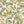 Havana Peel + Stick Removable Wallpaper