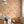 Havana Peel + Stick Removable Wallpaper