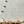 Feather Palm Peel + Stick Removable Wallpaper