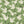 Family of Cranes Peel + Stick Removable Wallpaper