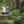 Airstream Travel Trailer Picturesque Postcards