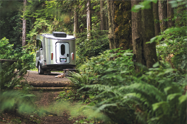 Airstream Travel Trailer Picturesque Postcards