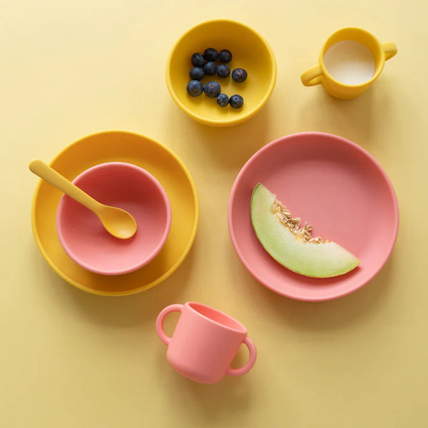 Silicone Suction Plate Set for Kids by Ekobo
