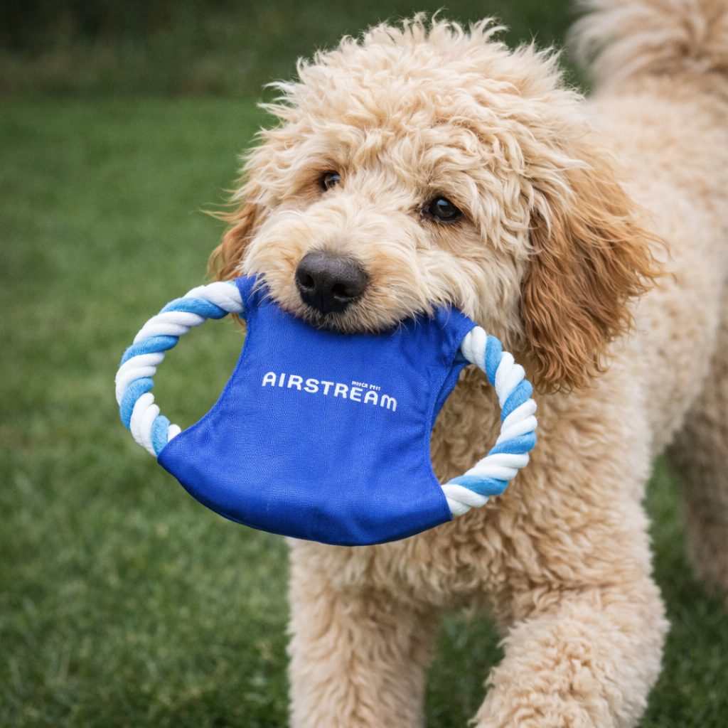A fluffy, light brown dog stands on grass, holding a blue Airstream Fetch-It Dog Toy in its mouth.