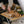 Snow Peak Large Family Tableware Set