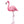 Peel + Stick Flamingo Wall Decals