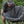 Teddy Bear Camp Chair Cover by KUMA